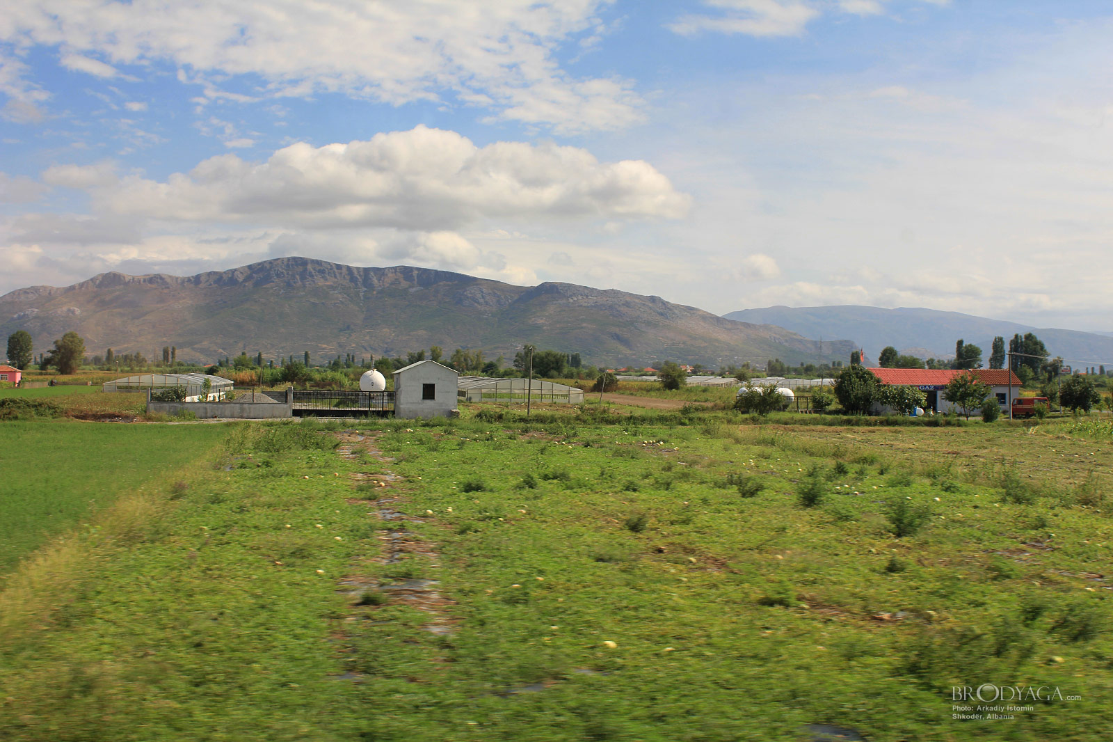 Shkodër